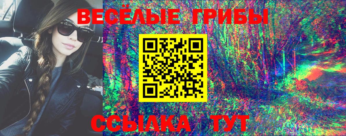 Псилоцибиновые грибы Psilocybine cubensis Тосно